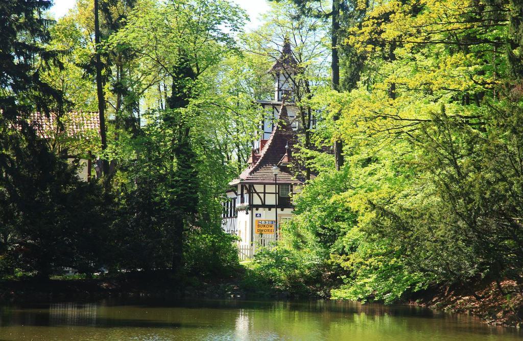 Bukowy Dworek Szczawno-Zdroj Dış mekan fotoğraf
